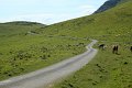 (215) Col d'Aphanize